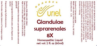 Glandulae Suprarenales 8x Liquid (Glandulae Suprarenales 8x Liquid)